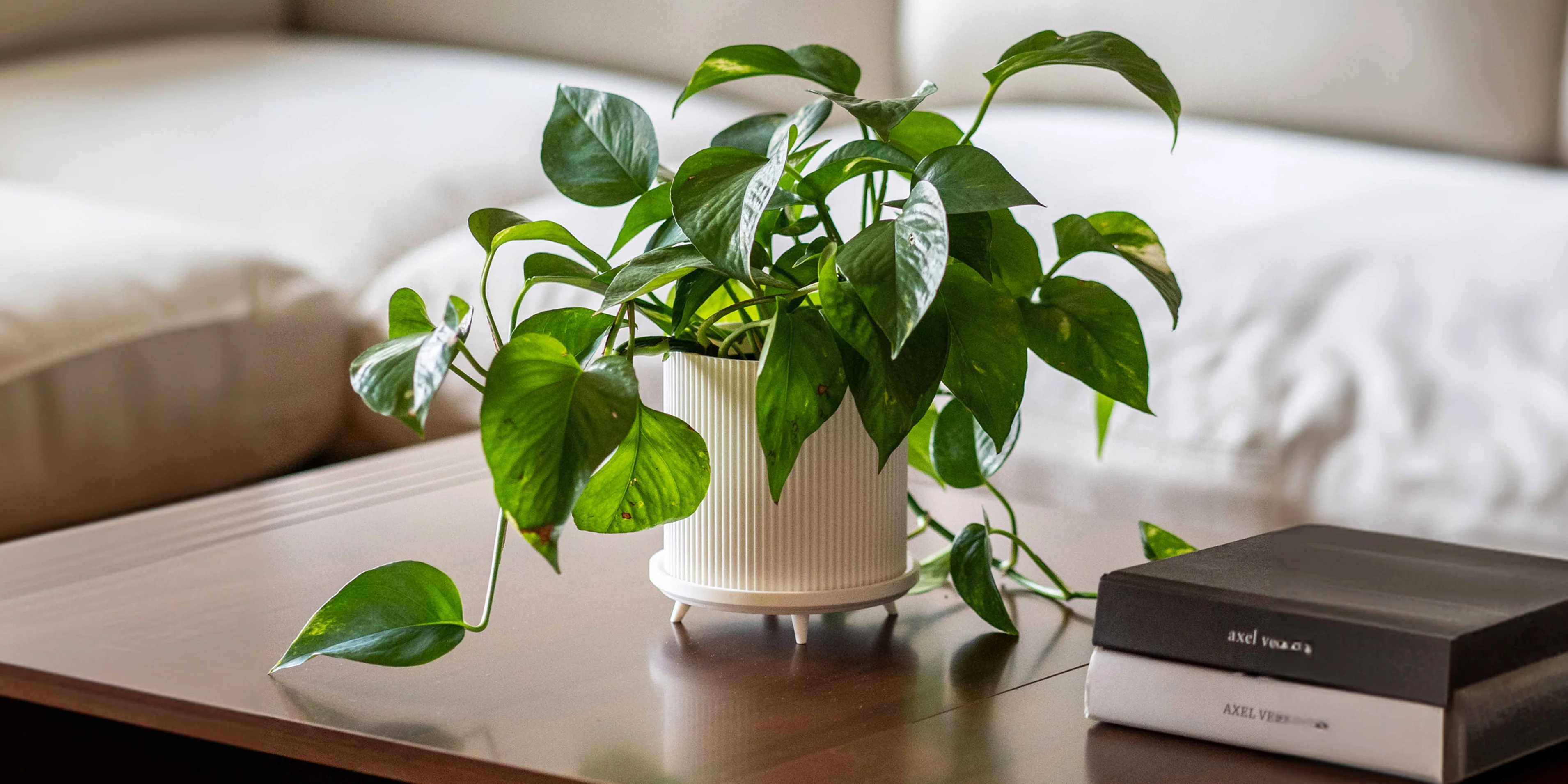 Welcome to Our Store